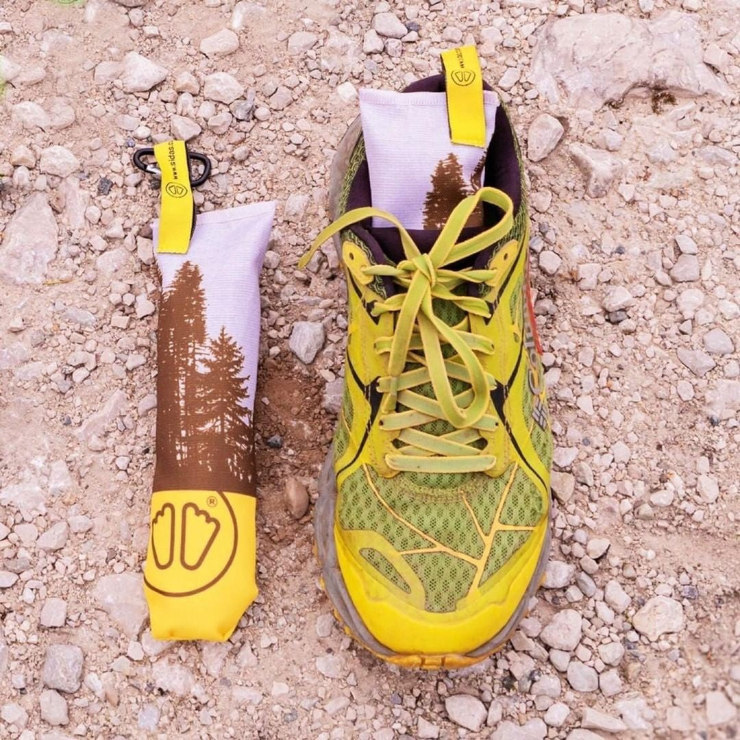 Sidas Cedar Wood Shoe Dryers Inside Trainer and adjacent